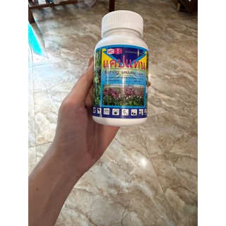 Thuốc trừ bệnh thối nhũn, nấm bệnh cho phong lan Captan Thái Lan (Lọ 50g)