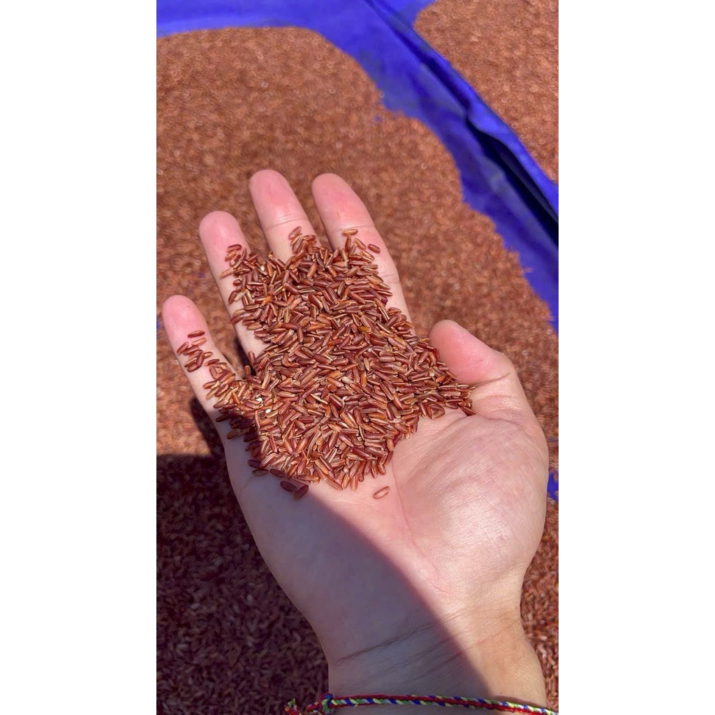 Bột Gạo Lứt Đỏ Huyết Rồng nguyên Chất Hũ 500g - Thảo Mộc Organic cho người bận rộn