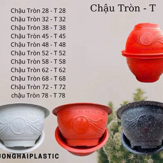 Chậu Trồng Cây PHÚC- LỘC- THỌ Nhiều Màu, Nhiều Kích Thước, Chậu Trồng Hoa, Cây Cảnh,Quất Đào Tết