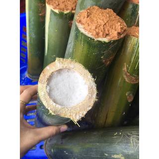 Muối tre Việt Nam SAHU - Vietnamese Bamboo Salt SAHU