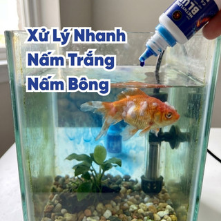 [Mua 10 Tặng 2] Xanh Methylene Cho Cá Cảnh – Hỗ Trợ Giảm Nguy Cơ Nấm, Đốm Trắng, Ký Sinh Trùng