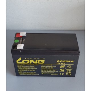 ắc quy 12v khô cho ups máy tính, ups cửa cuốn bình xịt thuốc, LONG WP1236W | 12V - 9ah
