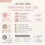 Bộ xoăn sóng nước tóc giả cho nữ tặng lưới trùm tóc thật
