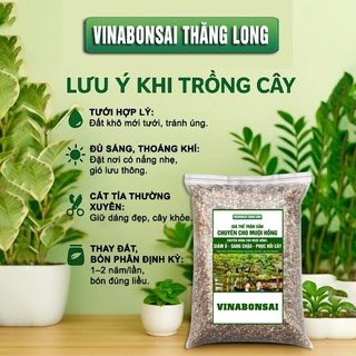 Đất Trồng MUỘI HỒNG - Giá thể Vinabonsai MH01 , Trộn Sẵn, Giữ Ẩm Tốt, Thoáng Khí, Rễ Tốt, Thân Khoẻ