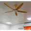 Quạt trần cao cấp 5 cánh sải 1420 Asia chính hãng QT09, bảo hành 2 năm