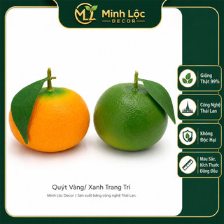 Trái Quýt Xanh/ Vàng trang trí | Trái Cây Nhựa foam, Trái Cây trang trí, Trái Cây Mô Hình