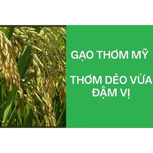Gạo THƠM MỸ 10kg dẻo vừa,,dai cơm- gạo văn phòng, gạo nấu cơm đem đến nơi làm việc)