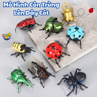 Đồ Chơi Mô Hình Côn Trùng Lên Dây Cót - Bọ Rùa, Châu Chấu, Bọ Hung, Bọ Cánh Cứng Chân Thực