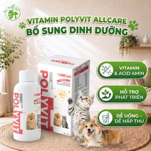Vitamin Polyvit AllCare Cho Chó Mèo 50ml – Bổ Sung Dinh Dưỡng, Hỗ Trợ Ăn Uống, Phù Hợp Dùng Hàng Ngày