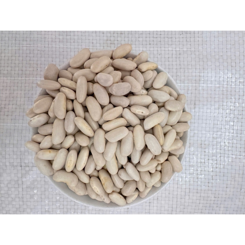 Đậu Trắng Tây Loại 1 Hạt To Đều Thơm Bùi Nấu Chè Hầm Xương Nấu Súp Làm Bánh Đậu Ngọc Việt