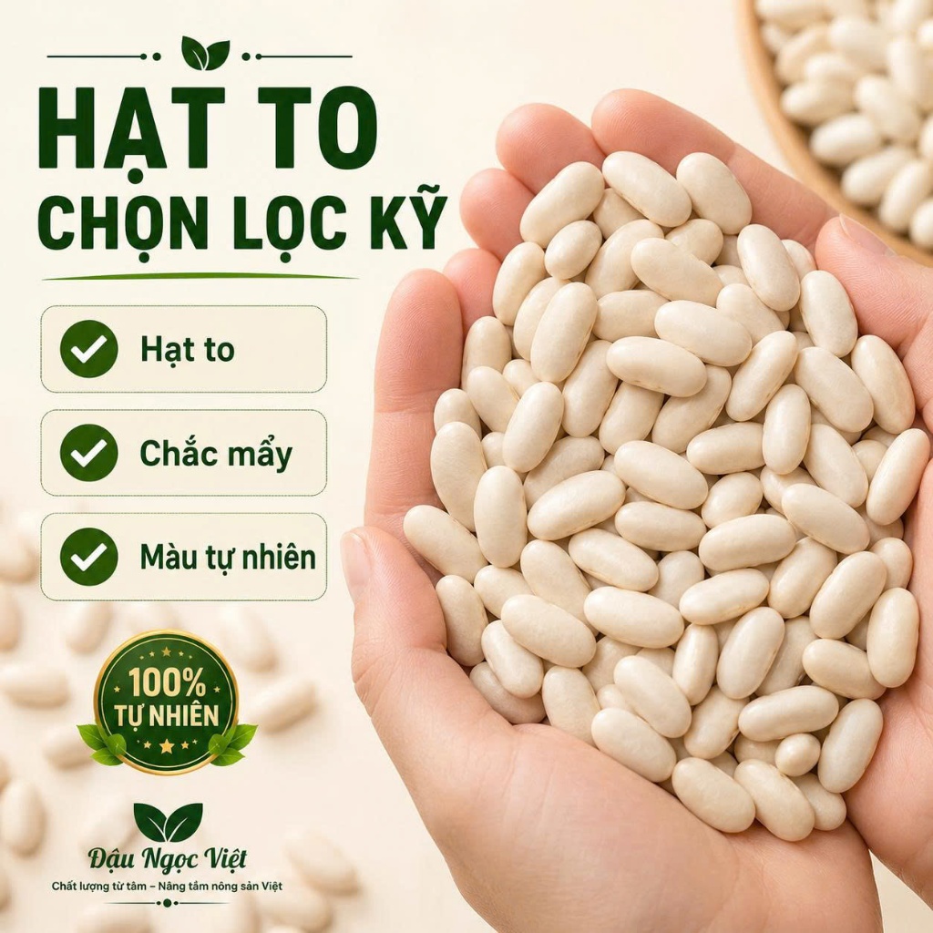 Đậu Trắng Tây Loại 1 Hạt To Đều Thơm Bùi Nấu Chè Hầm Xương Nấu Súp Làm Bánh Đậu Ngọc Việt