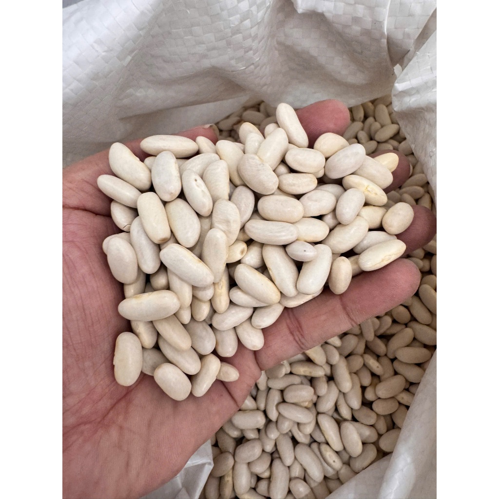 Đậu Trắng Tây Loại 1 Hạt To Đều Thơm Bùi Nấu Chè Hầm Xương Nấu Súp Làm Bánh Đậu Ngọc Việt