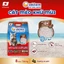 Combo 5 Cát mèo khử mùi Silver Spoon Unicharm Pet Wellness, hương cà phê/hương chanh/hương nhài 8 Lbs (3.6 kgx5)