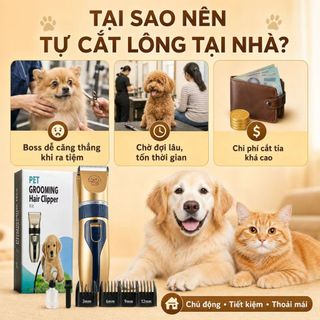 Tông Đơ Cắt Lông Chó Mèo Chenow Siêu Êm Ít Rung, Máy Cạo Lông Thú Cưng Không Kẹt Lông, Kèm 4 Cữ 3/6/9/12mm