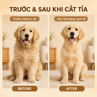 Tông Đơ Cắt Lông Chó Mèo Chenow Siêu Êm Ít Rung, Máy Cạo Lông Thú Cưng Không Kẹt Lông, Kèm 4 Cữ 3/6/9/12mm