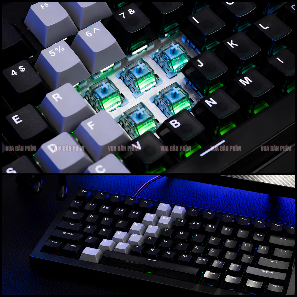 Bàn phím cơ  Akko 5087 HE trục từ , polling rate 8k,  độ phản hồi 0.005RT , 3 mode , full foam , layout tkl, led rgb | BigBuy360 - bigbuy360.vn