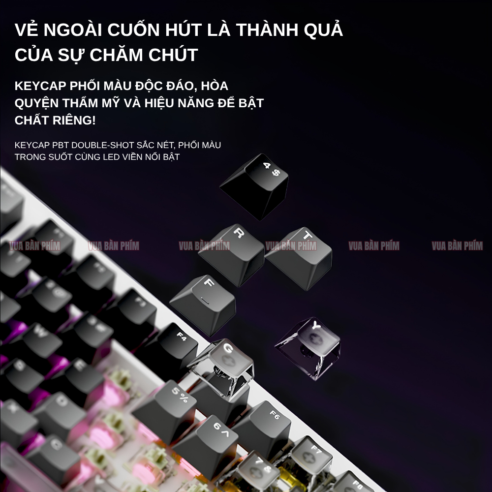 Bàn phím cơ  Akko 5087 HE trục từ , polling rate 8k,  độ phản hồi 0.005RT , 3 mode , full foam , layout tkl, led rgb | BigBuy360 - bigbuy360.vn