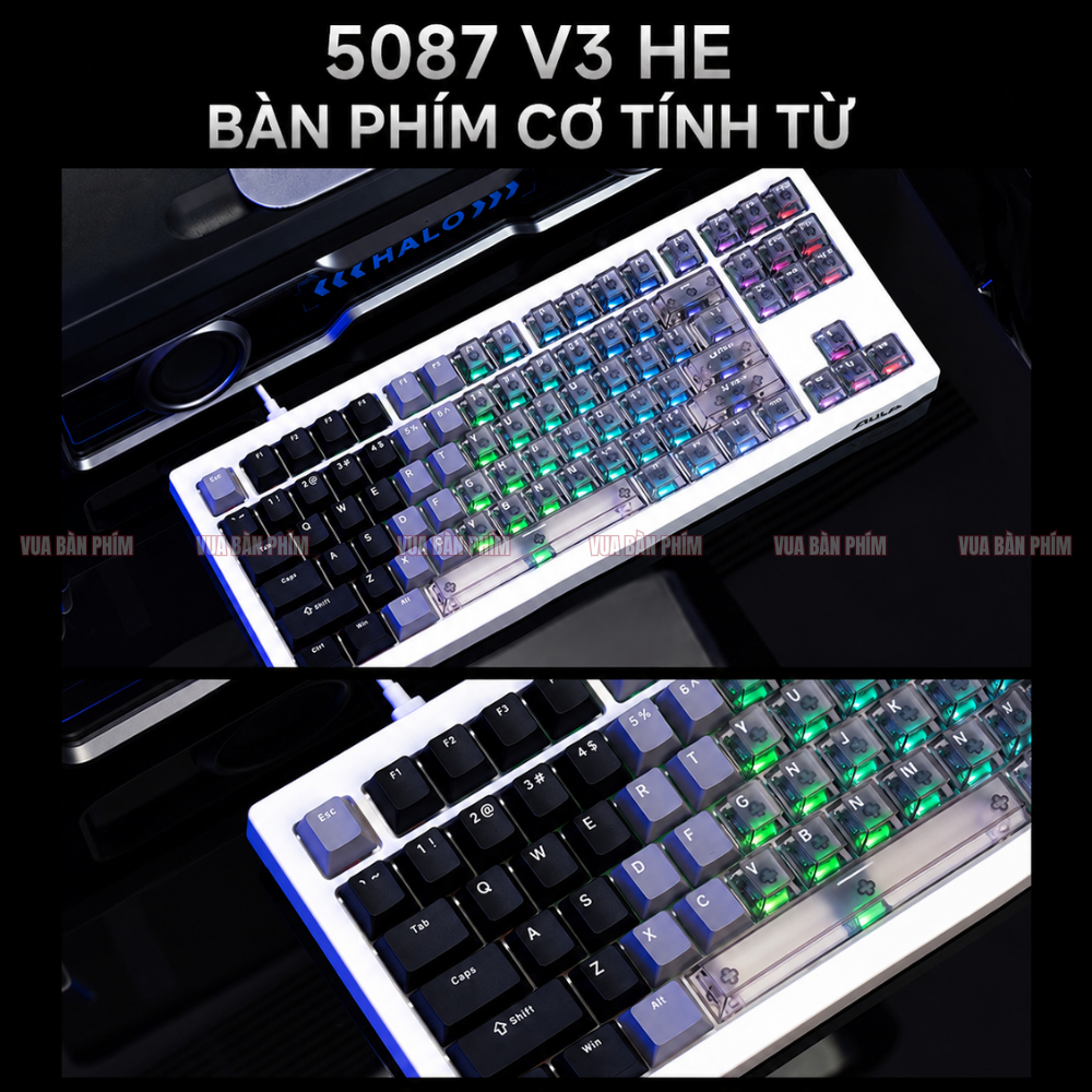 Bàn phím cơ  Akko 5087 HE trục từ , polling rate 8k,  độ phản hồi 0.005RT , 3 mode , full foam , layout tkl, led rgb | BigBuy360 - bigbuy360.vn