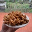 Snack cua béo hành giòn thơm ngon