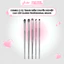 COMBO 5 Cọ Trang Điểm Chuyên Nghiệp Cao Cấp Glorie Professional Brush
