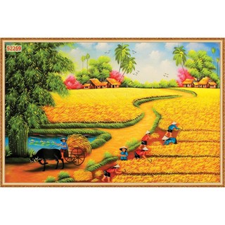 Tranh phong cảnh đồng quê Việt Nam TS Decor, đồng lúa chín vàng lụa cao cấp, tranh treo phòng khách