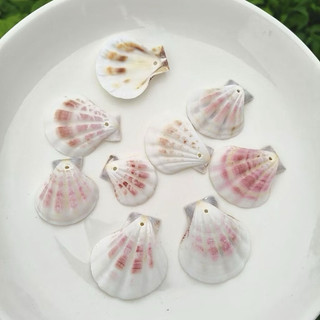 Vỏ Sò đục lỗ - Vỏ sò kim cương – Dùng làm đồ handmade, decor biển, chụp ảnh