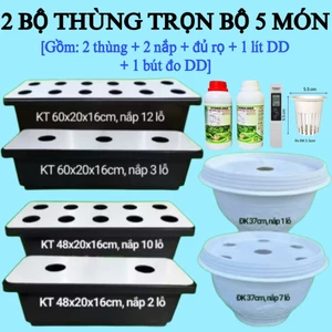 Thùng thủy canh cỡ nhỏ 1-12 lỗ trồng rau tại nhà tiện lợi, dễ sử dụng trồng rau ăn lá, ăn trái