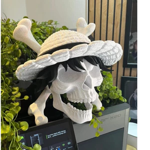 Decor Đầu Lâu One Piece In 3D Cao Cấp | Trang Trí Góc Gaming, Bàn Học, Quà Tặng Fan Anime