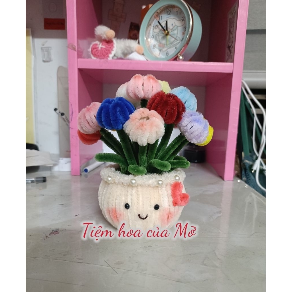 Chậu Hoa Tulip Kẽm Nhung Mẫu Chậu Tròn Siêu Xinh