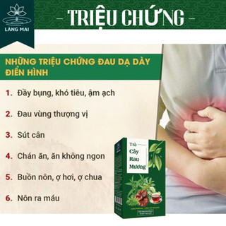 Trà Cây Rau Mương - Làng Mai - Hỗ trợ Đau dạ dày, diệt HP, Thanh nhiệt, giải Độc cơ thể, Tốt cho người tiểu Đường.