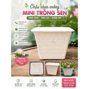Chậu trồng sen mini, chất liệu nhựa hoạ tiết đan mây, miệng 22cm cao 18cm thích hợp trồng sen mini