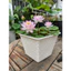 Chậu trồng sen mini, chất liệu nhựa hoạ tiết đan mây, miệng 22cm cao 18cm thích hợp trồng sen mini