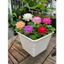 Chậu trồng sen mini, chất liệu nhựa hoạ tiết đan mây, miệng 22cm cao 18cm thích hợp trồng sen mini