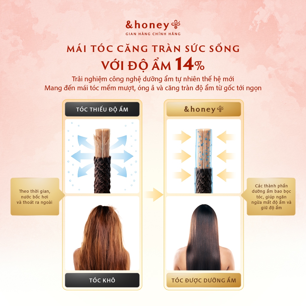 Bộ Dầu Gội Xả &HONEY MELTY MOIST Phục Hồi Dưỡng Tóc Suôn Mượt Vào Nếp