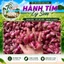 Hành Tím Lý Sơn Chính Gốc Nhà Tỏi Lý Sơn 500g
