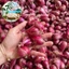 Hành Tím Lý Sơn Chính Gốc Nhà Tỏi Lý Sơn 500g