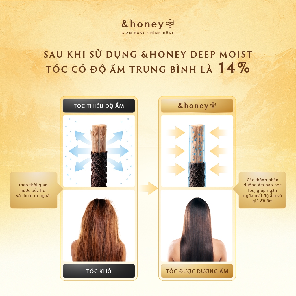 Bộ Dầu Gội Dầu Xả Dưỡng Tóc Chuyên Sâu &Honey Deep
