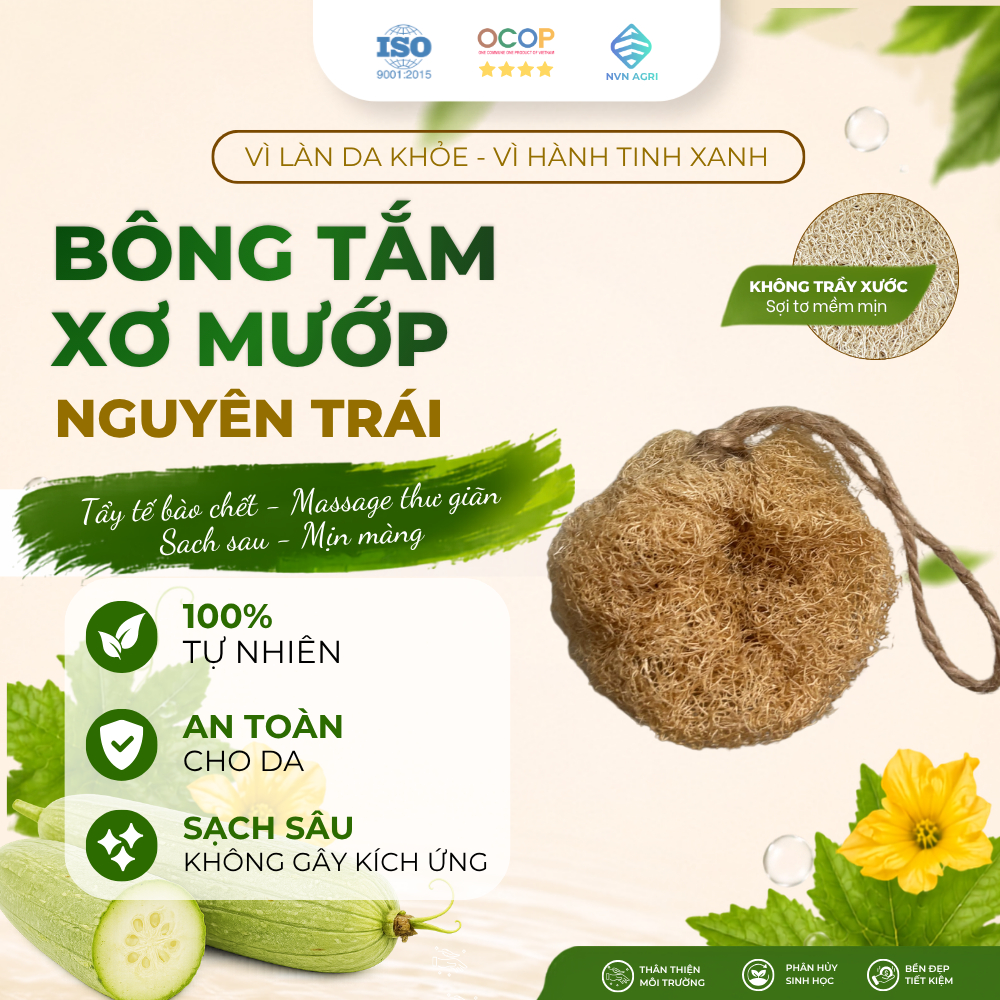 Bông Tắm Xơ Mướp Nguyên Trái 100% Tự Nhiên Tẩy Tế Bào Chết Massage Cơ Thể Làm Sạch Da