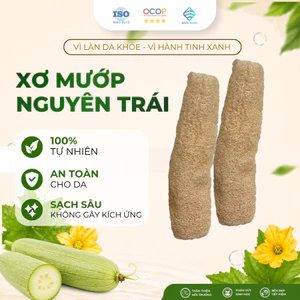 Xơ Mướp Nguyên Trái Tự Nhiên Nhiều Kích Thước Dùng Để Tắm, Chà Rửa Nhà Bếp Thân Thiện Môi Trường