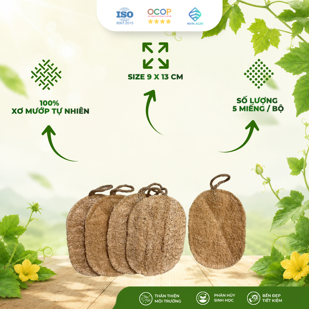 Combo 5 Miếng Xơ Mướp Oval 100% Tự Nhiên Rửa Bát Chà Rửa Nhà Bếp Thân Thiện Môi Trường