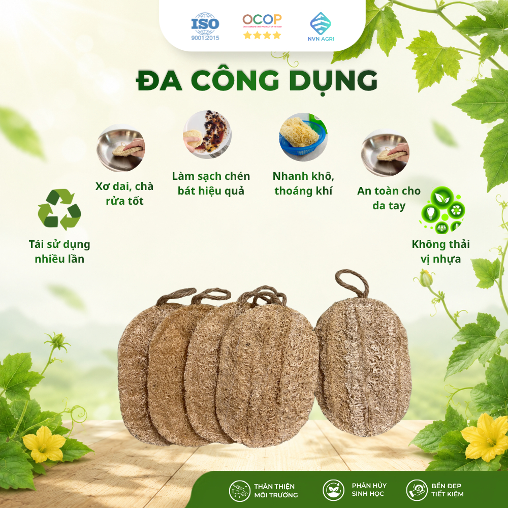 Combo 5 Miếng Xơ Mướp Oval 100% Tự Nhiên Rửa Bát Chà Rửa Nhà Bếp Thân Thiện Môi Trường