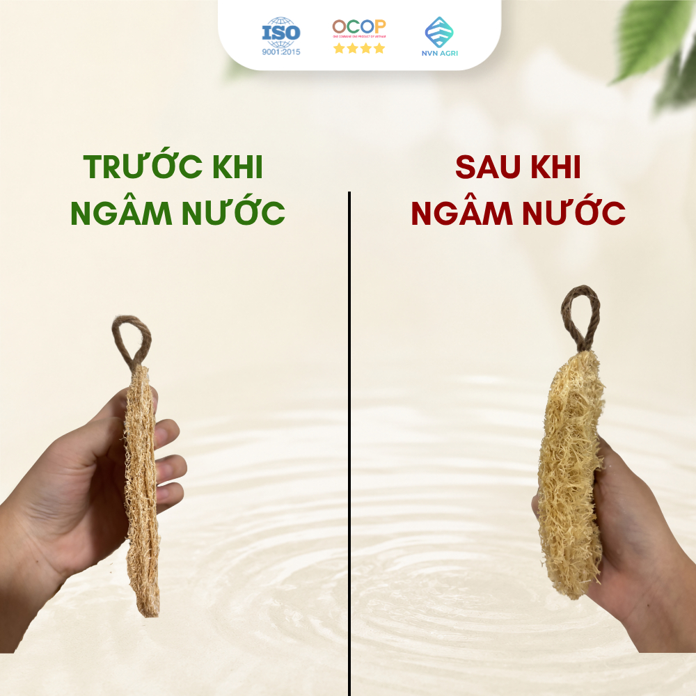 Miếng Rửa Bát Xơ Mướp Hình Chữ Nhật 100% Tự Nhiên Chà Rửa Chén Bát Nhà Bếp Thân Thiện Môi Trường