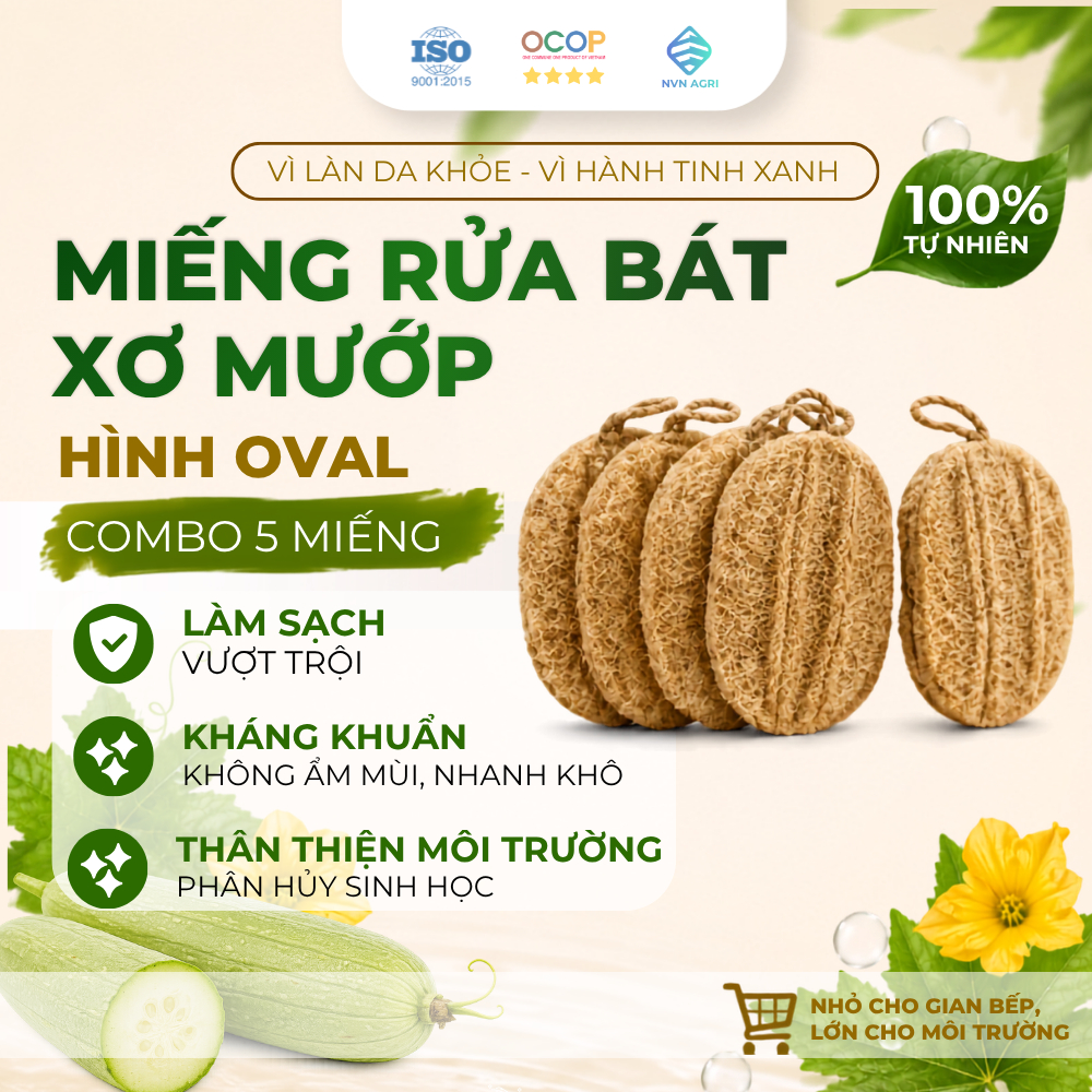 Combo 5 Miếng Xơ Mướp Oval 100% Tự Nhiên Rửa Bát Chà Rửa Nhà Bếp Thân Thiện Môi Trường