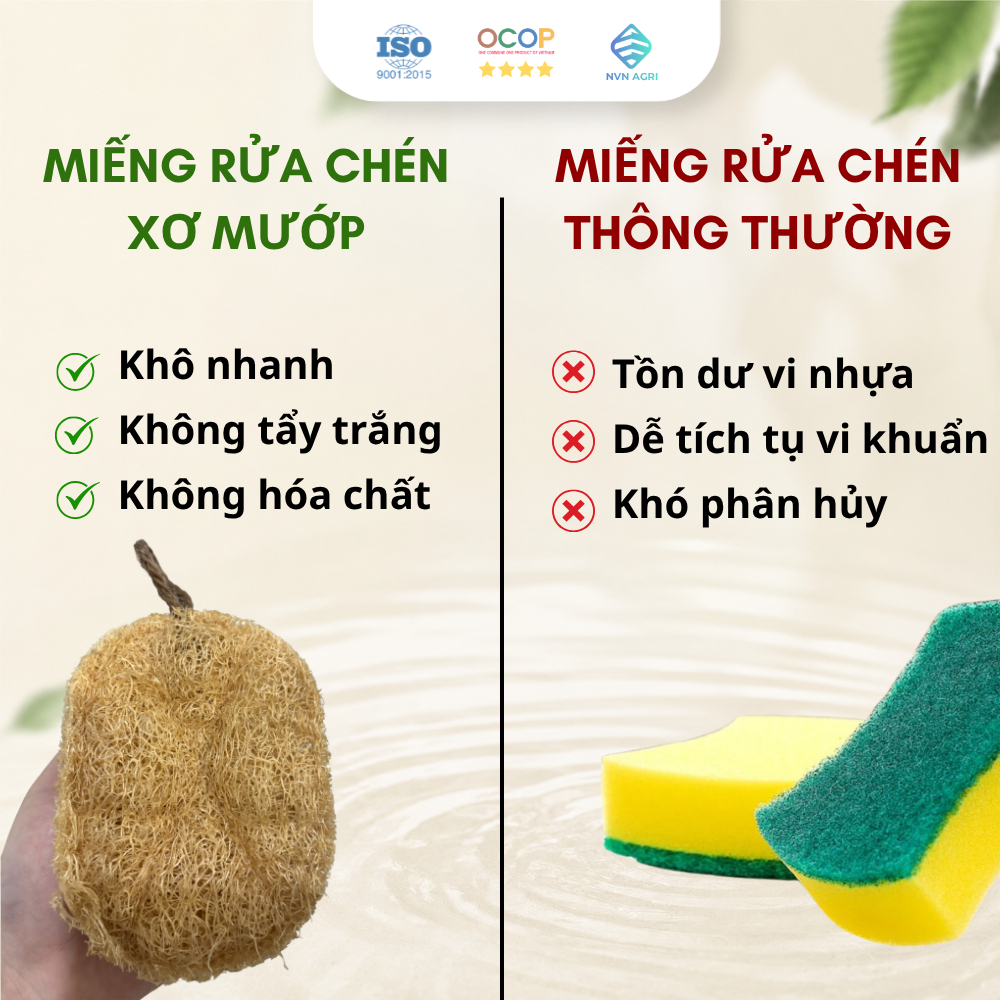 Miếng Rửa Bát Xơ Mướp Hình Chữ Nhật 100% Tự Nhiên Chà Rửa Chén Bát Nhà Bếp Thân Thiện Môi Trường