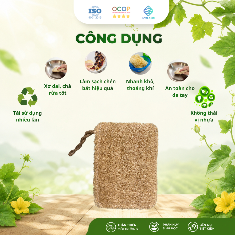 Miếng Rửa Bát Xơ Mướp Hình Chữ Nhật 100% Tự Nhiên Chà Rửa Chén Bát Nhà Bếp Thân Thiện Môi Trường