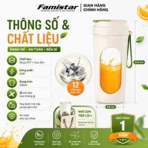 Máy xay sinh tố cầm tay 40W 12 lưỡi dao inox FAMISTAR, máy xay sinh tố 450ml, xay đá XST