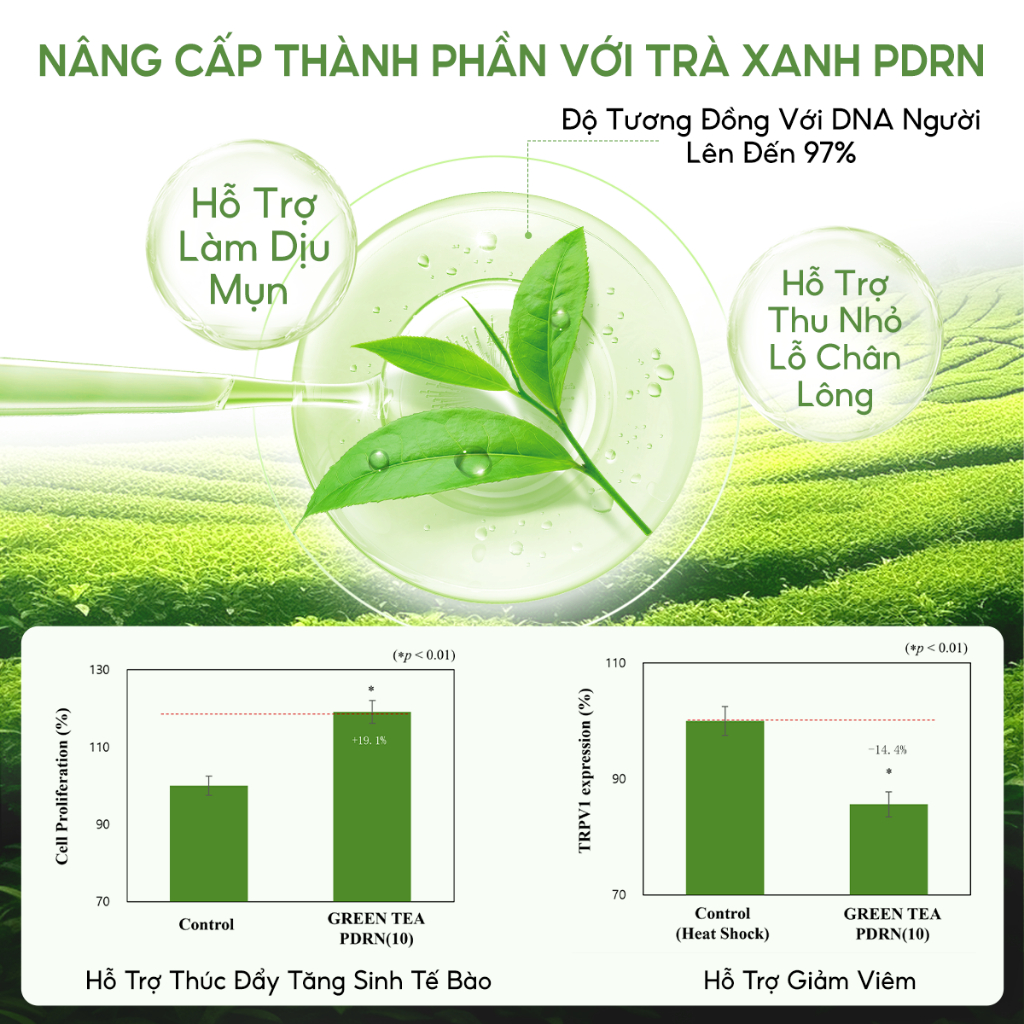 1 Hộp 10 Miếng Mặt nạ giấy trà xanh BHA| COLORKEY LUMINOUS| Hỗ Trợ Giảm Mụn, Giảm Sưng Đỏ (25ml x 10 Miếng)