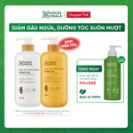 Dầu Gội Gừng Cỏ Cây Hoa Lá, Dầu Gội Thảo Dược Gừng Dừa Giảm Gàu Ngứa  650g/ chai-Dành Cho Tóc Khô Sơ — ảnh 1