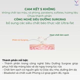 [VGS X KOL]Gel Vệ Sinh Phụ Nữ Vagisil - Dung Dịch Vệ Sinh Cân Bằng pH, Kiểm Soát Mùi, Da Nhạy Cảm 240/354ml