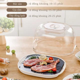 Máy rã đông thực phẩm KACHEEG KAYUSO cao cấp, máy rã đông chạy pin siêu tốc công nghệ ion an toàn cho thực phẩm